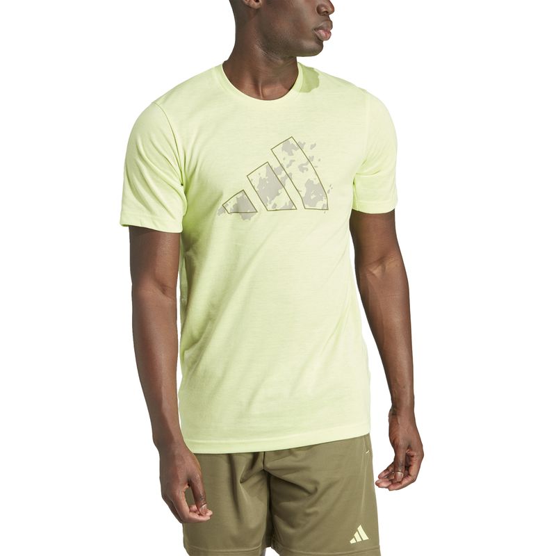 Camiseta-Train-Essentials-Seasonal-Training-Graphic
