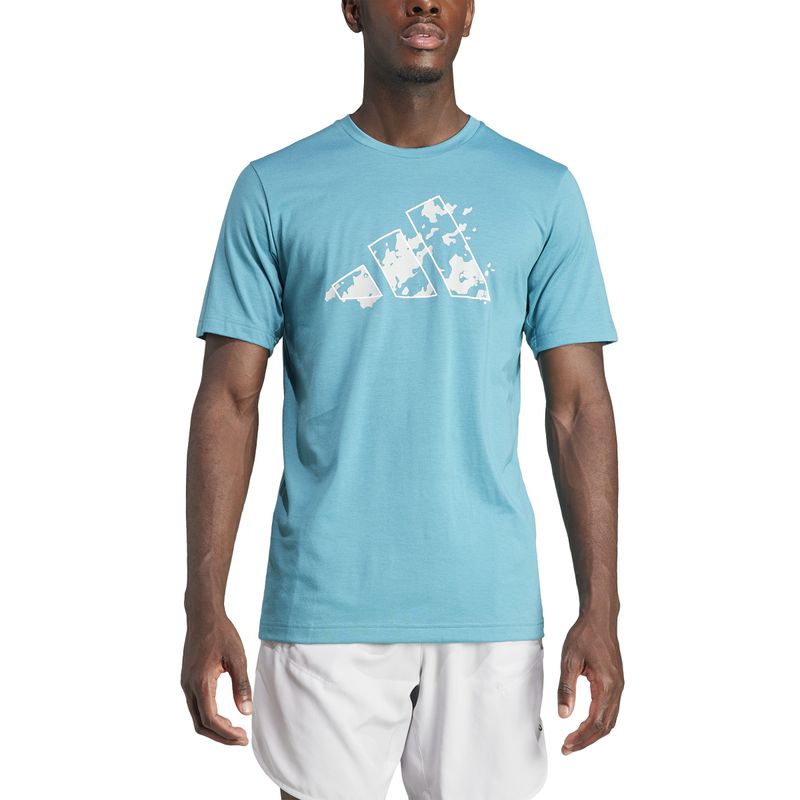 Camiseta-Train-Essentials-Seasonal-Training-Graphic