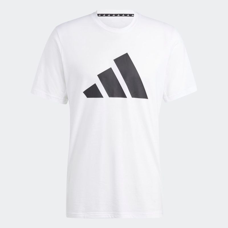 TR-ES-FR-LOGO-T