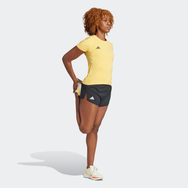 ModelBack